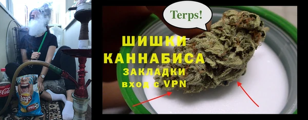 индика Зерноград