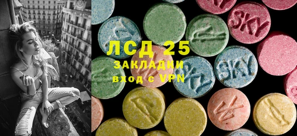 индика Зерноград