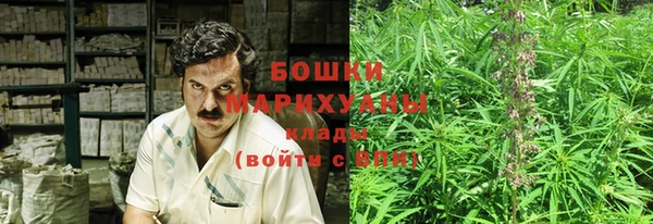 индика Зерноград